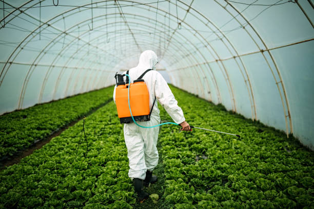 Best Mosquito Control Services  in Bethpage, NY
