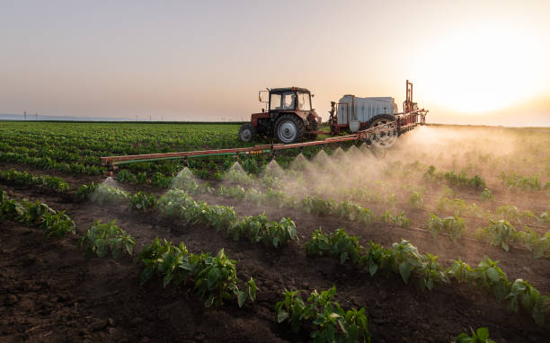 Best Commercial Pest Control Services  in Bethpage, NY
