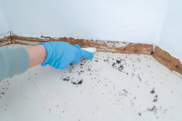 Pest Control for Restaurants in Bethpage, NY